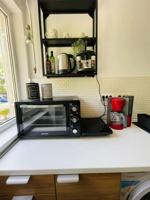 דירות Chic Retreat טימישוארה מראה חיצוני תמונה