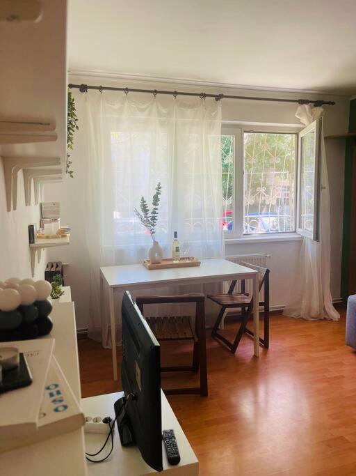 דירות Chic Retreat טימישוארה מראה חיצוני תמונה